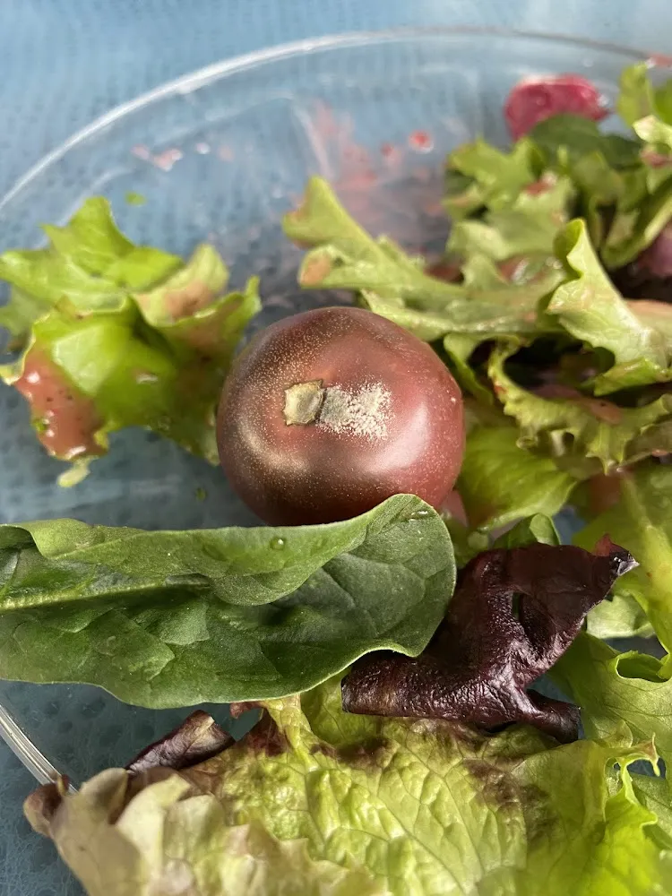 Moldy Salad